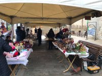 Деревья в расписанных металлических бочках - art-проект в Баку (ФОТО)
