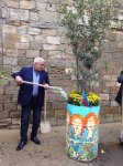 Деревья в расписанных металлических бочках - art-проект в Баку (ФОТО)