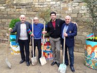 Деревья в расписанных металлических бочках - art-проект в Баку (ФОТО)