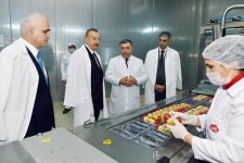 Президент Азербайджана Ильхам Алиев ознакомился в Aбшеронском районе с деятельностью ООО "Захмет-Рузи" (ФОТО)