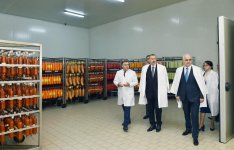 Президент Азербайджана Ильхам Алиев ознакомился в Aбшеронском районе с деятельностью ООО "Захмет-Рузи" (ФОТО)