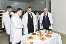 Президент Азербайджана Ильхам Алиев ознакомился в Aбшеронском районе с деятельностью ООО "Захмет-Рузи" (ФОТО)