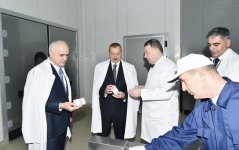 Президент Азербайджана Ильхам Алиев ознакомился в Aбшеронском районе с деятельностью ООО "Захмет-Рузи" (ФОТО)