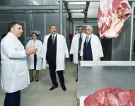 Президент Азербайджана Ильхам Алиев ознакомился в Aбшеронском районе с деятельностью ООО "Захмет-Рузи" (ФОТО)