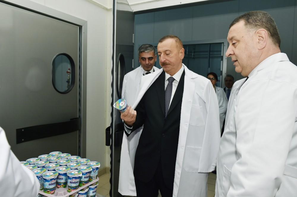Президент Азербайджана Ильхам Алиев ознакомился в Aбшеронском районе с деятельностью ООО "Захмет-Рузи" (ФОТО)