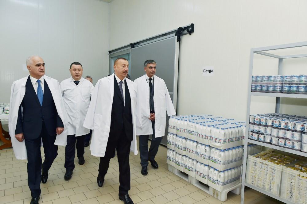 Президент Азербайджана Ильхам Алиев ознакомился в Aбшеронском районе с деятельностью ООО "Захмет-Рузи" (ФОТО)