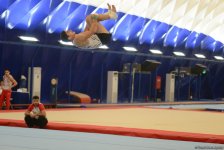 Стартовал второй день чемпионатов Азербайджана по спортивной гимнастике и акробатике (ФОТО)