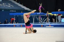 Лучшие моменты чемпионатов Азербайджана и первенств Баку по 4 гимнастическим дисциплинам (ФОТО)