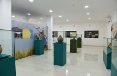 Президент Ильхам Алиев принял участие в открытии Тертерского историко-краеведческого музея (ФОТО)