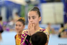 Завершились первенства Азербайджана и чемпионаты Баку по трем гимнастическим дисциплинам (ФОТО)