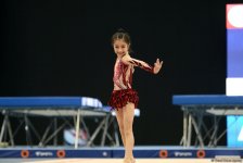 Стартовал второй день Первенства Азербайджана по художественной гимнастике и  прыжкам на батуте (ФОТО)