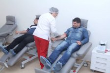 Азербайджанские спортсмены провели донорскую акцию (ФОТО)