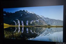 Вице-президент Фонда Гейдара Алиева Лейла Алиева посетила выставку Red Bull Illume (ФОТО)