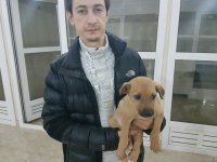 Вице-президент Фонда Гейдара Алиева Лейла Алиева приняла участие в мастер-классе по йоге (ФОТО)
