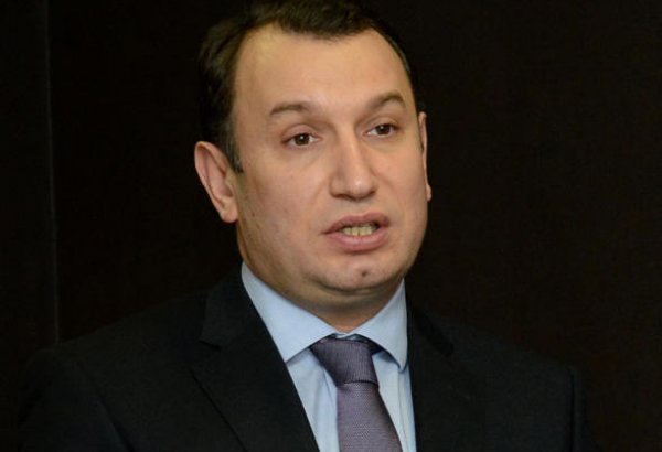В Азербайджане оказывается поддержка развитию более 10 стартапов - замминистра