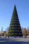 Баку  погрузился в праздничную атмосферу - ФОТОСЕССИЯ