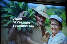 Презентован логотип бренда Made in Azerbaijan (ФОТО)