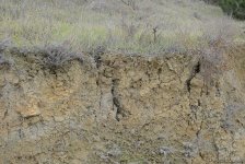 Трещины в районе бакинской телебашни достигли одного метра - минэкологии (ФОТО)