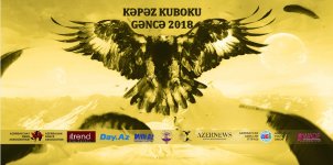 В Гяндже пройдет Фестиваль современных и классических танцев (ФОТО)