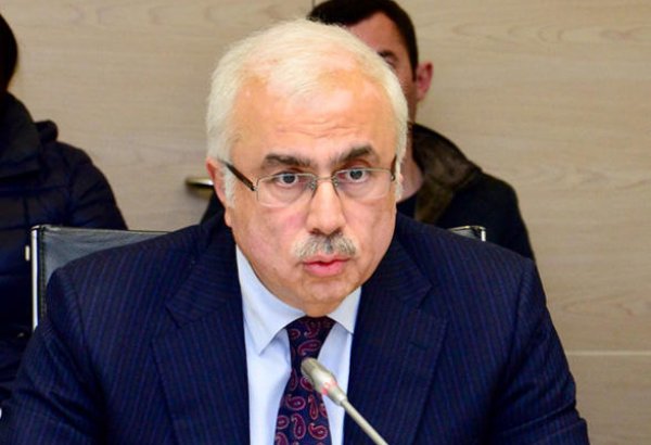 Khazar car plant to help introduce new technologies in Azerbaijan: deputy minister