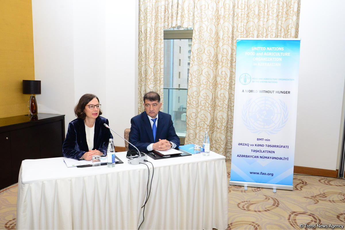 About 159,000 hectares of forest restored in Azerbaijan – deputy minister (PHOTO)