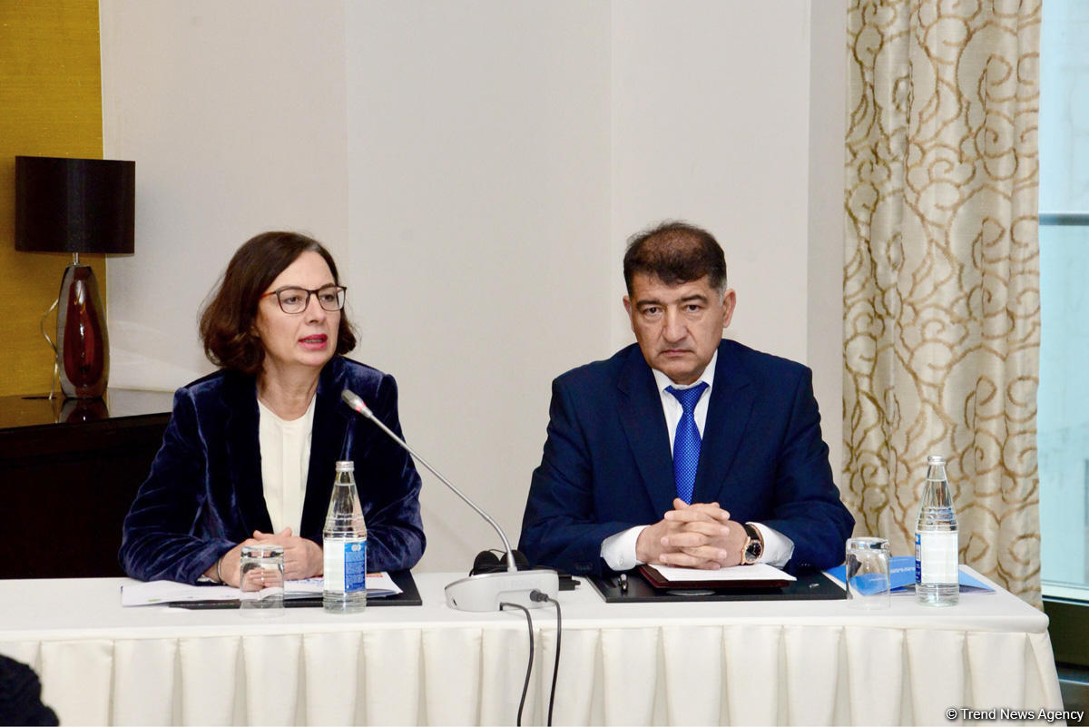 About 159,000 hectares of forest restored in Azerbaijan – deputy minister (PHOTO)
