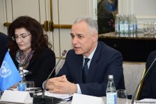 В рамках Целей устойчивого развития будут подготовлены "Бакинские принципы" (ФОТО)