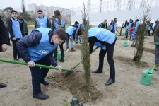 Вице-президент Фонда Гейдара Алиева Лейла Алиева приняла участие в акции по посадке деревьев в рамках кампании "Справедливость для Ходжалы!" (ФОТО)