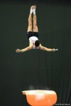 Стартовал второй день соревнований Кубка мира по спортивной гимнастике в Баку (ФОТОРЕПОРТАЖ)