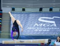 Стартовал второй день соревнований Кубка мира по спортивной гимнастике в Баку (ФОТОРЕПОРТАЖ)