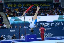 Стартовал второй день соревнований Кубка мира по спортивной гимнастике в Баку (ФОТОРЕПОРТАЖ)