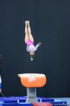 Лучшие моменты соревнований Кубка мира по спортивной гимнастике FIG в Баку (ФОТО)