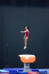 Лучшие моменты соревнований Кубка мира по спортивной гимнастике FIG в Баку (ФОТО)