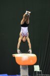 Лучшие моменты соревнований Кубка мира по спортивной гимнастике FIG в Баку (ФОТО)