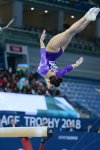 Лучшие моменты соревнований Кубка мира по спортивной гимнастике FIG в Баку (ФОТО)