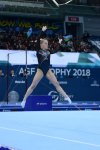 Стартовал последний день соревнований Кубка мира по спортивной гимнастике в Баку (ФОТО)