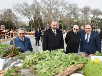 Президент Азербайджана Ильхам Алиев и Первая леди Мехрибан Алиева приняли участие во всенародных празднествах по случаю Новруза (ФОТО)