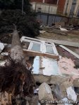 Штормовой ветер повалил в Баку 21 дерево (ФОТО)