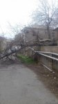 Штормовой ветер повалил в Баку 21 дерево (ФОТО)