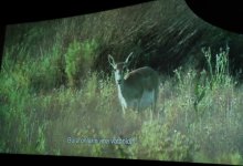 Leyla Aliyeva attends presentation of “Absheron National Park” documentary (PHOTO)