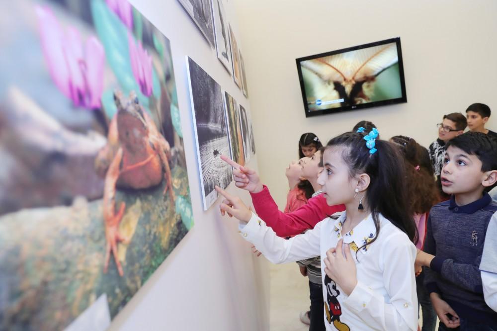 Leyla Aliyeva attends presentation of “Absheron National Park” documentary (PHOTO)