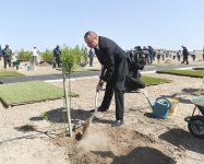 Президент Ильхам Алиев и Первая леди Мехрибан Алиева приняли участие в кампании по посадке деревьев, посвященной дню рождения великого лидера Гейдара Алиева (ФОТО)