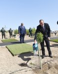 Президент Ильхам Алиев и Первая леди Мехрибан Алиева приняли участие в кампании по посадке деревьев, посвященной дню рождения великого лидера Гейдара Алиева (ФОТО)