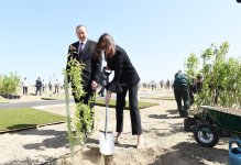 Президент Ильхам Алиев и Первая леди Мехрибан Алиева приняли участие в кампании по посадке деревьев, посвященной дню рождения великого лидера Гейдара Алиева (ФОТО)