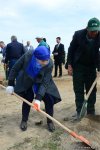 В Баку состоялась акция по посадке деревьев по случаю 25-летия создания партии "Ени Азербайджан"