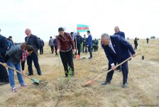 В Баку состоялась акция по посадке деревьев по случаю 25-летия создания партии "Ени Азербайджан"