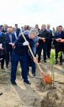 В Баку состоялась акция по посадке деревьев по случаю 25-летия создания партии "Ени Азербайджан"