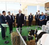 Президент Ильхам Алиев ознакомился с XXIV Азербайджанской международной продовольственной выставкой (ФОТО)