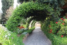 Северный Кипр: Джамиля, розовый фламинго, черепашки-ниндзя… (ФОТО, часть 4)