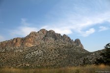Северный Кипр: Джамиля, розовый фламинго, черепашки-ниндзя… (ФОТО, часть 4)